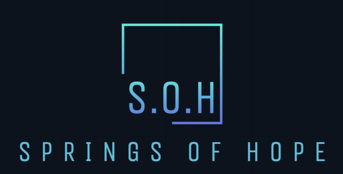 Springs of Hope | Strengthening Entrepreneurship Ecosystems in Souther
